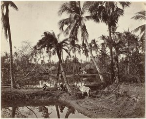Dorpsgezicht in Bengalen, India