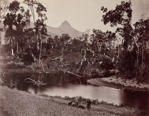 Uitzicht op Ceylon naar Adams Tand door Samuel Bourne