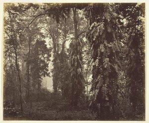 Darjeeling, India, ca. 1865