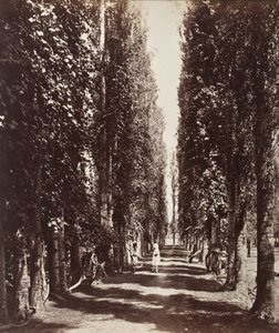  door Samuel Bourne