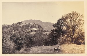 Simla; "Peterhof door Samuel Bourne