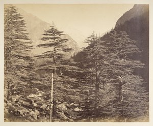 Besneeuwde toppen bij Gangootri vanaf Bhairamghati. Fotograaf: Bourne, Samuel Album met foto