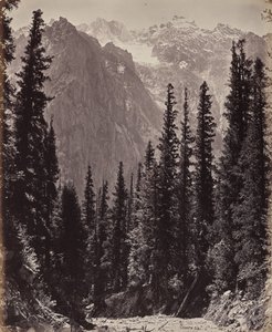  door Samuel Bourne
