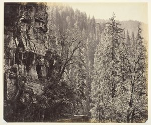Zonder titel [kliffen en bomen], c. 1865 door Samuel Bourne
