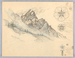 Antelao, vanuit Cortina, met studies van bloemen
