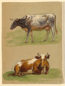 Tekening, Vee, een koe loopt en een koe hurkt, 1875-80 door Samuel Colman