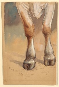 Tekening, Studies naar vee, 1871 door Samuel Colman