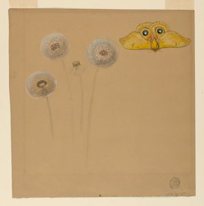 Tekening, Studie van witte margriet, kamillestengel met twee bloemblaadjes en een kamilleblaadje, 1875-90 door Samuel Colman