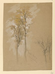 Eiken, Lady Wood Lane, Irvington