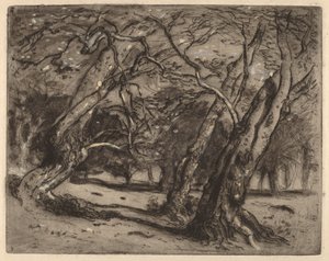 Zonder titel (Boslandschap) door Samuel Colman