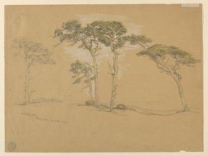 Windgeblazen dennen, Pacific Grove. Verso: Pacific Coast weg naar Point Sur. door Samuel Colman