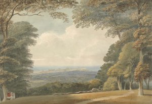Verre uitzicht op Windsor Castle