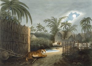 Een tijger die door een dorp sluipt (vee in angst), uit 