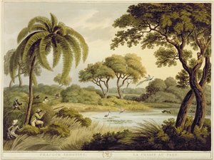 Pauwenschieten, uit Oriëntaalse Veldsporten, uitgegeven door Edward Orme, 1807 door Samuel Howett