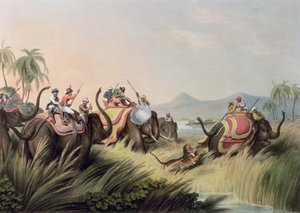 De tijger in het nauw, uit Oriental Field Sports, uitgegeven door Edward Orme, 1807 door Samuel Howett