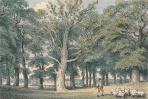 Een Parklandschap met Herder en Schapen