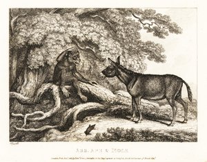 Een aap en een ezel jammeren totdat een mol hen tot zwijgen brengt. 1811 (ets) door Samuel Howitt