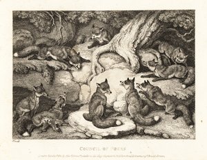 Een groep vossen ontmoet elkaar in een bos. 1811 (ets)