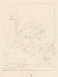 Kraanvogel en kikkers door Samuel Howitt