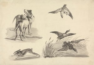 Blad met studies van honden, haas, valk en eenden