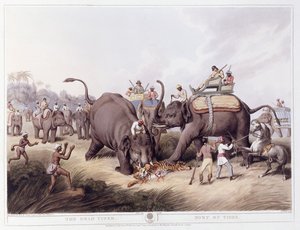 De dode tijger; Mort du tigre, 1807 door Samuel Howitt