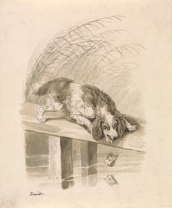 De Hond en De Schaduw door Samuel Howitt