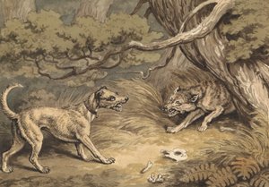 De hond en de wolf
