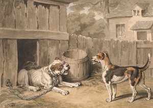 De Ondeugende Hond
