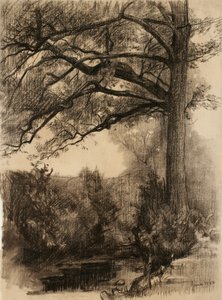 Landschap met grote boom, 1884