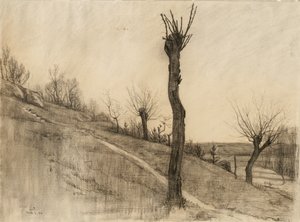 Laat winterlandschap, 1884