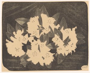 Rhododendron door Samuel Jessurun de Mesquita (signed by artist)