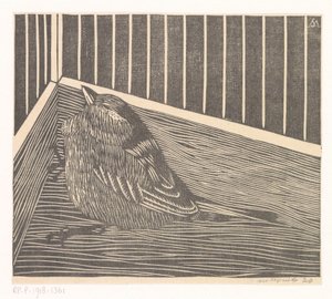 Vogel in hoek van een kooi