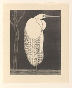 Zilverreiger