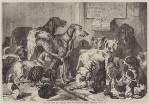 Huis voor verloren en uitgehongerde honden, Hollingsworth-Street, Islington