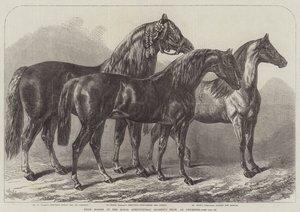 Prijs Paarden op de Royal Agricultural Society