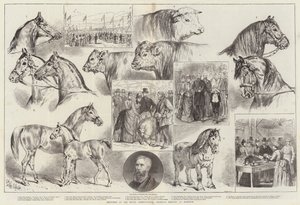 Schetsen op de bijeenkomst van de Koninklijke Landbouwmaatschappij in Norwich door Samuel John Carter