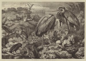 De Reigerkolonie in Didlington Park, Norfolk door Samuel John Carter