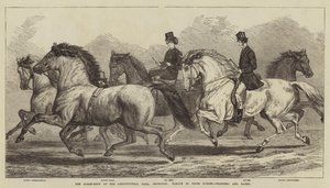 De Paardenshow in de Agricultural Hall, Islington, Parade van Prijs Paarden, Dravers en Hacks door Samuel John Carter