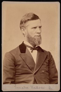 Portret van William Andrew Wallace