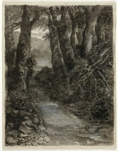 Een Bosstudie door Samuel Palmer