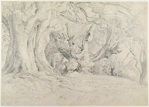 Oude bomen, Lullingstone Park, 1828 door Samuel Palmer