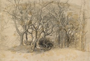 Studie van bomen, Clovelly Park, 1834 door Samuel Palmer