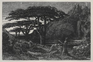 Het cipressenbos, 1883