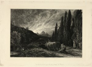 De vroege ploeger