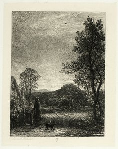 De Veldleeuwerik
