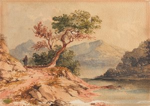 Landschap met figuur