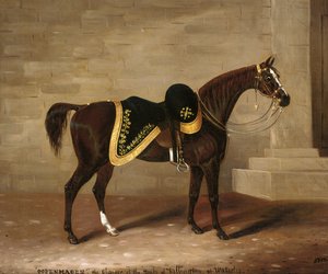 Kopenhagen, het paard van de hertog van Wellington bij Waterloo
