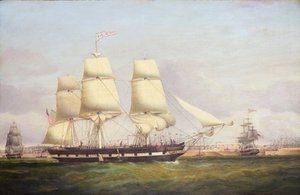 Euphrasia (olieverf op doek) door Samuel Walters