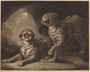 Luipaarden door Samuel William Reynolds I after James Northcote