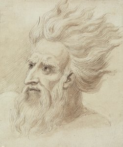 Hoofd van een Man met een Baard en Lang Haar in de Wind